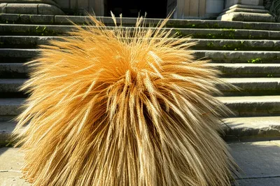 Illustration yield - Image 1