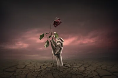 Illustration dooms - Image 1