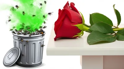 Illustration stink - Image 1