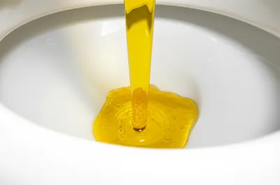 Illustration pees - Image 1