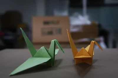 Illustration folding - Image 1