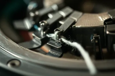 Illustration fly - Image 1