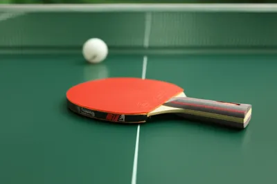 Illustration paddle - Image 1