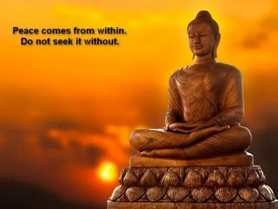 Illustration teaching - Image 2