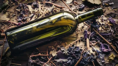 Illustration rez - Image 1