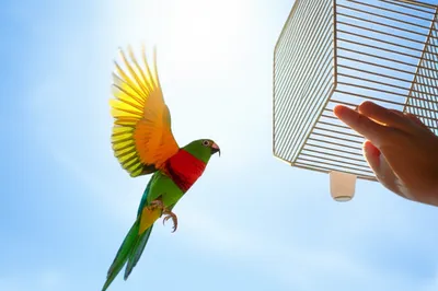 Illustration excusing - Image 1