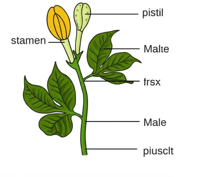 Hình ảnh minh họa bisexual - Ảnh 1