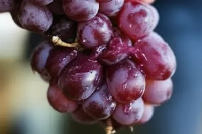 Illustration clumping - Image 1