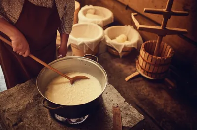 Illustration cheeses - Image 1