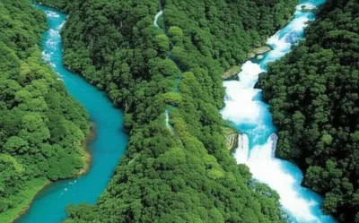 Illustration cognate - Image 1