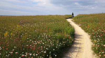 Illustration wandering - Image 1