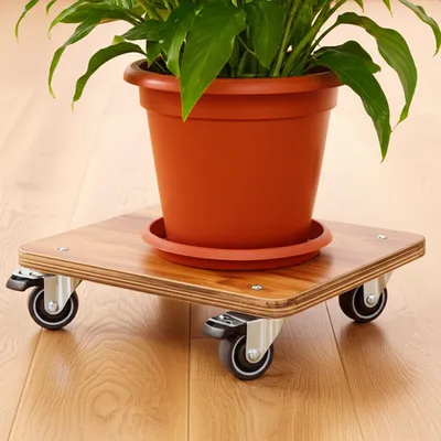 Illustration dolly - Image 1