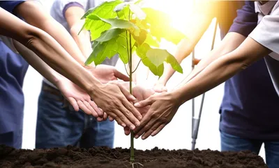 Illustration abled - Image 1