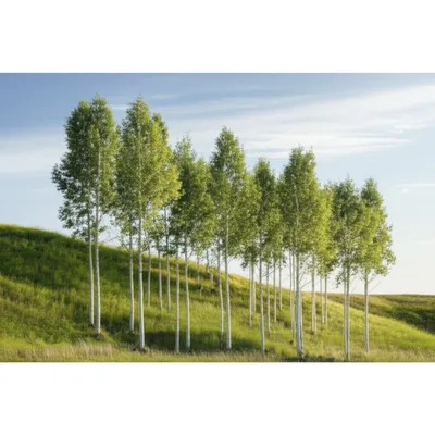 Illustration bluffs - Image 1