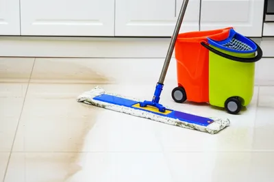 Illustration mops - Image 1