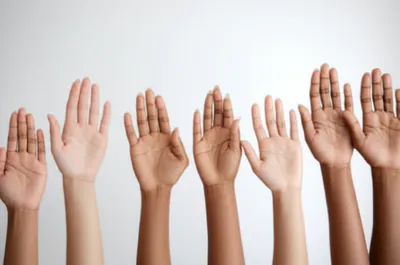 Illustration ayes - Image 1