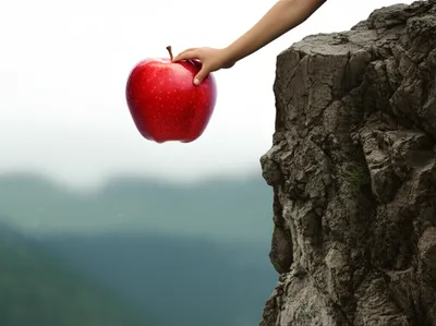 Illustration endangerment