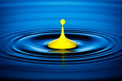 Illustration ping - Image 1