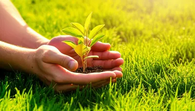 Illustration tended - Image 1