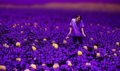 Illustration loco - Image 1