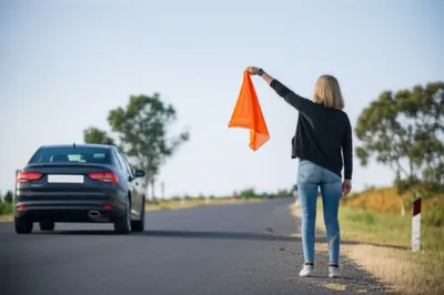 Illustration flag - Image 1