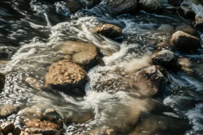 Illustration purled - Image 1