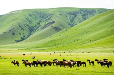 Illustration range - Image 1