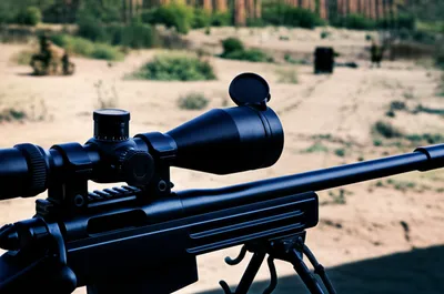 Illustration snipe - Image 1