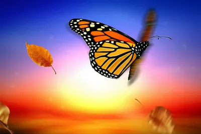 Illustration transient - Image 1