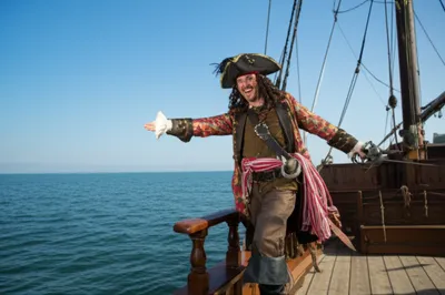 Illustration swash - Image 1