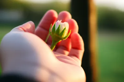 Illustration bashes - Image 1