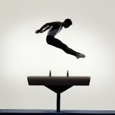 Illustration vaulting - Image 1