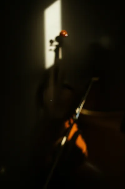 Illustration perceptible - Image 1