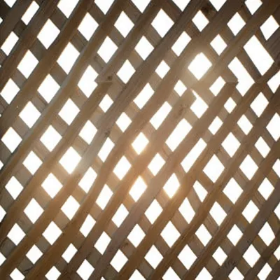 Illustration latticed - Image 1