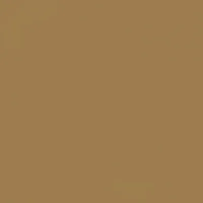 Illustration camel - Image 1