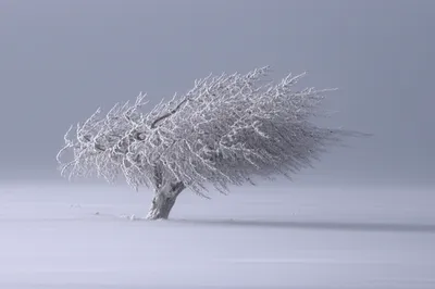 Illustration stiffer - Image 1