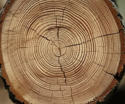 Illustration cents - Image 1