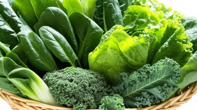 Illustration greens - Image 1