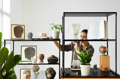 Illustration curated