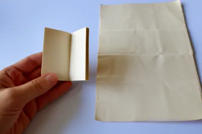 Hình ảnh minh họa 12mo - Ảnh 1