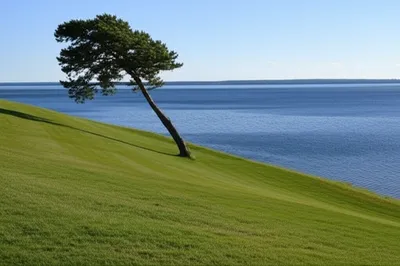 Illustration slant - Image 1