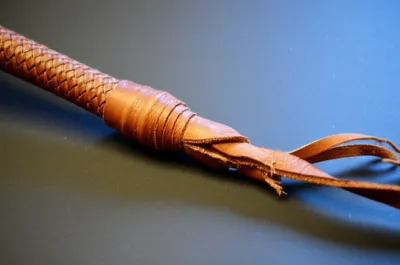 Illustration falls - Image 1