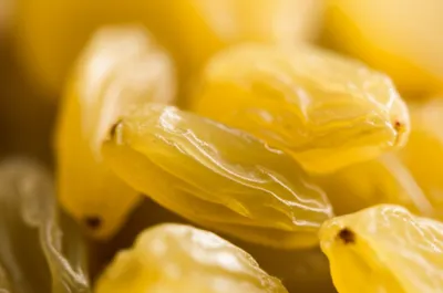 Illustration sultanas