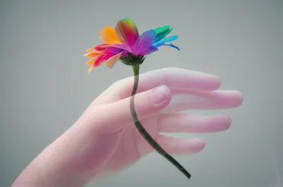 Illustration suppressing - Image 1