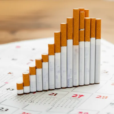 Illustration py - Image 1