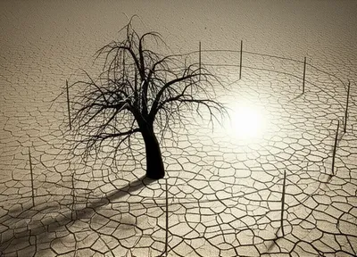 Illustration stinting - Image 1