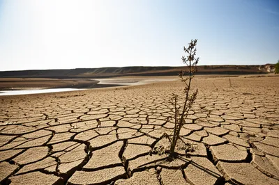 Illustration scarcity - Image 1