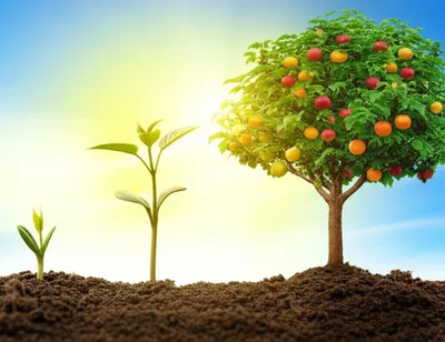 Illustration built - Image 1