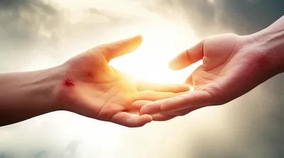 Illustration forgave