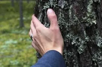 Illustration feel - Image 2